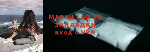 СК Зеленокумск