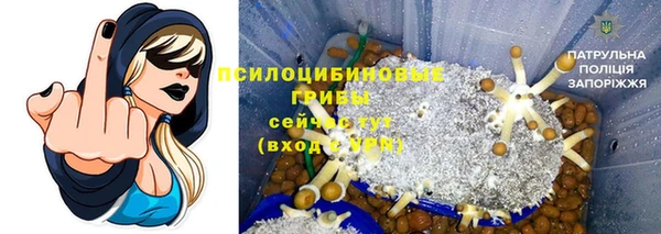 СК Зеленокумск