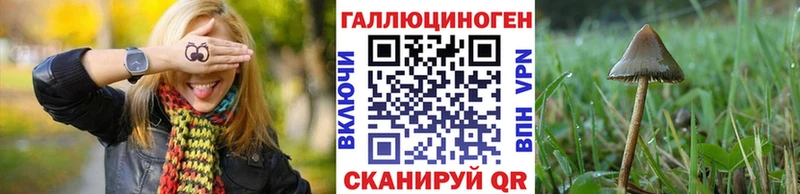 Купить закладки  Белая Калитва  Галлюциногенные грибы Psilocybine cubensis 